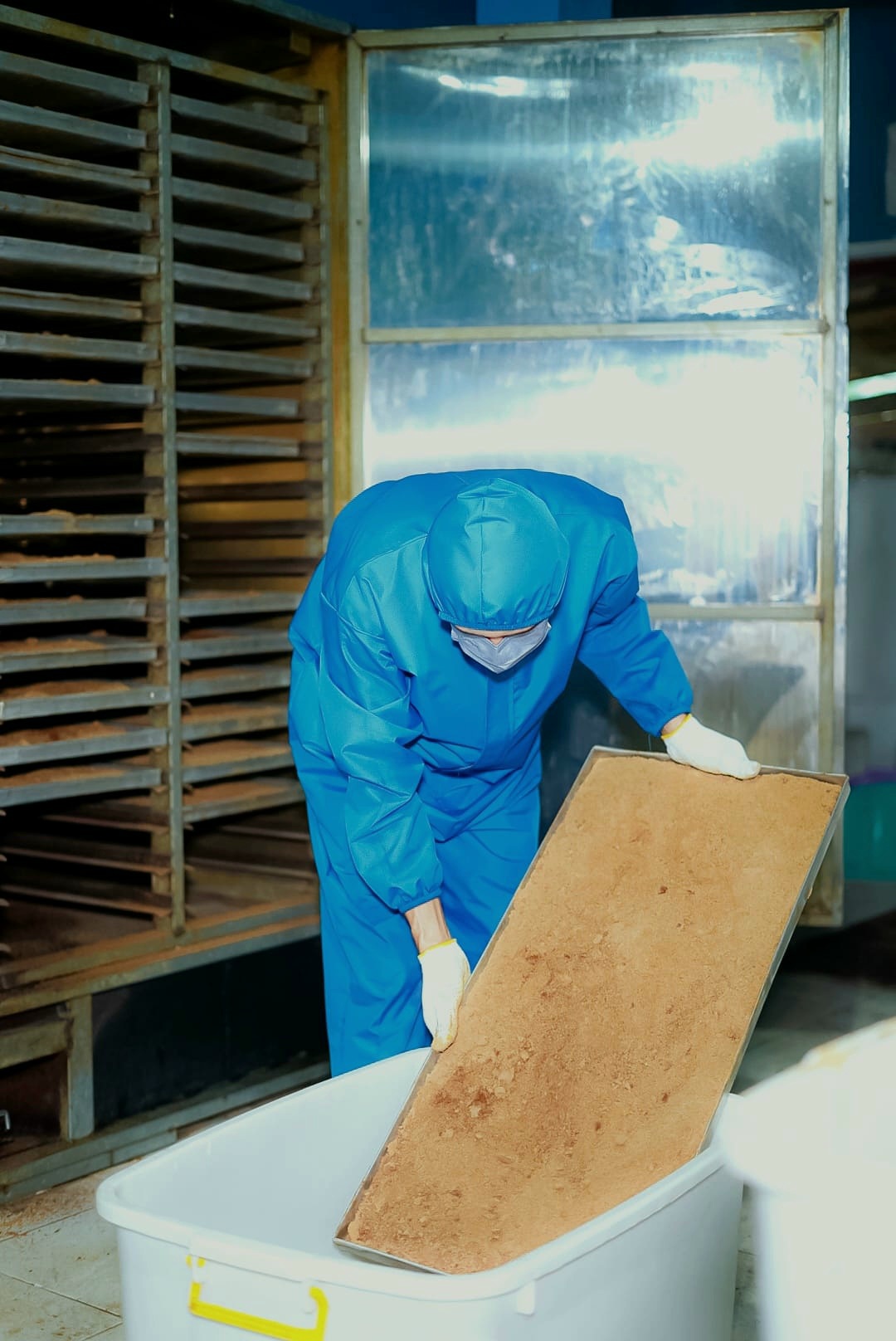 Coconut sugar drying tray handling