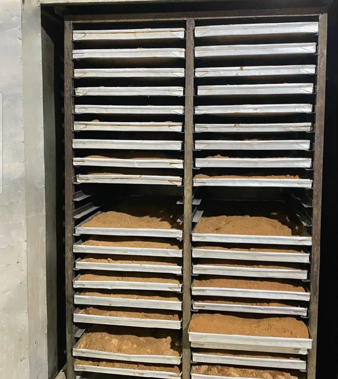 Coconut sugar tray oven drying